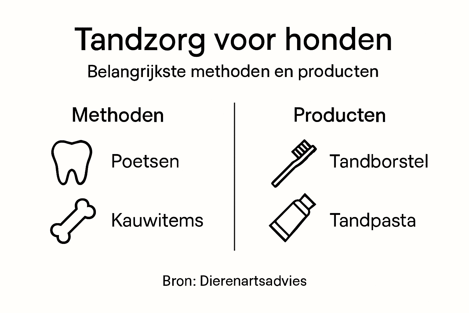 Overzicht: de beste manieren en producten voor een gezonde gebitsverzorging bij je hond
