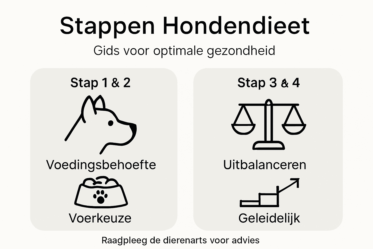 Infographic: Een helder overzicht van het ideale dieet voor je hond