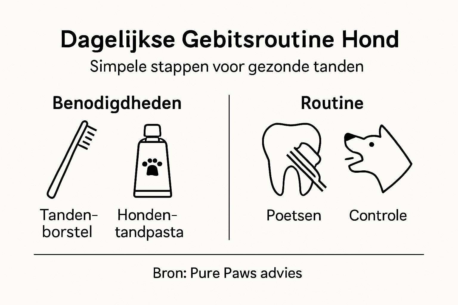 Infographic: Zo houd je het gebit van je hond dagelijks gezond