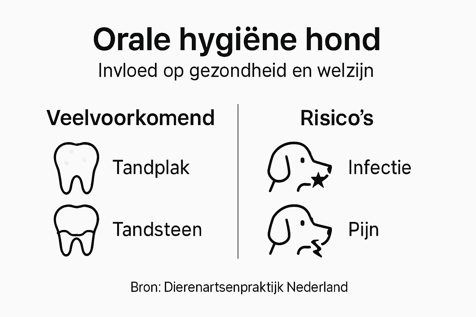 Overzicht: hoe zorg je voor een gezonde mond bij je hond