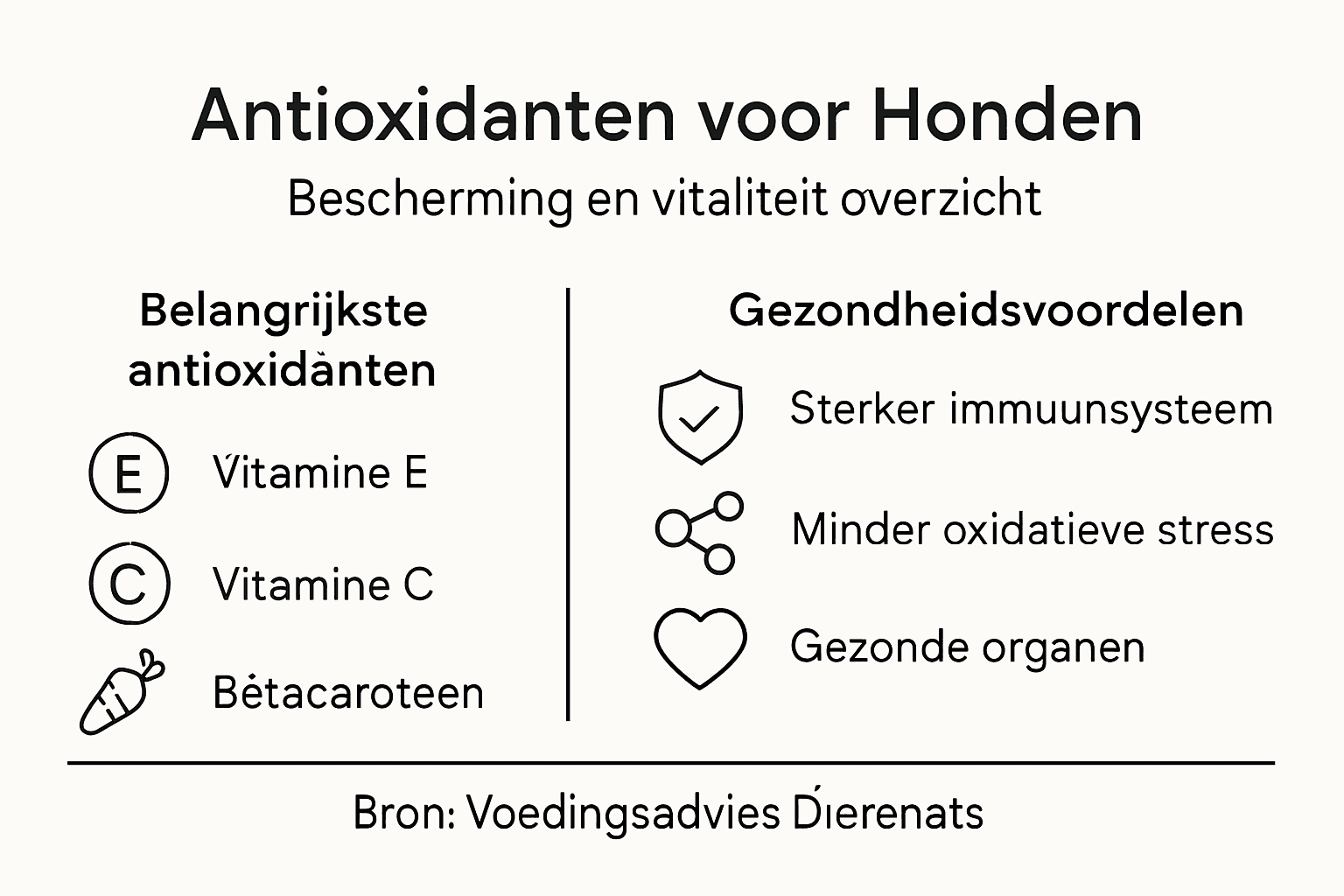 Infographic: de kracht van antioxidanten voor je hond – de belangrijkste voordelen op een rij