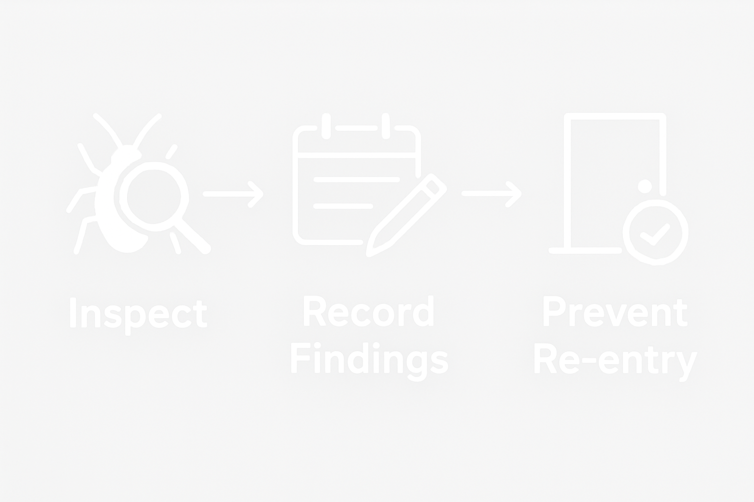 Infographic of pest monitoring steps