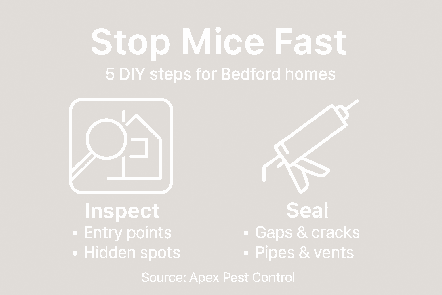 Infographic of DIY rodent proofing steps
