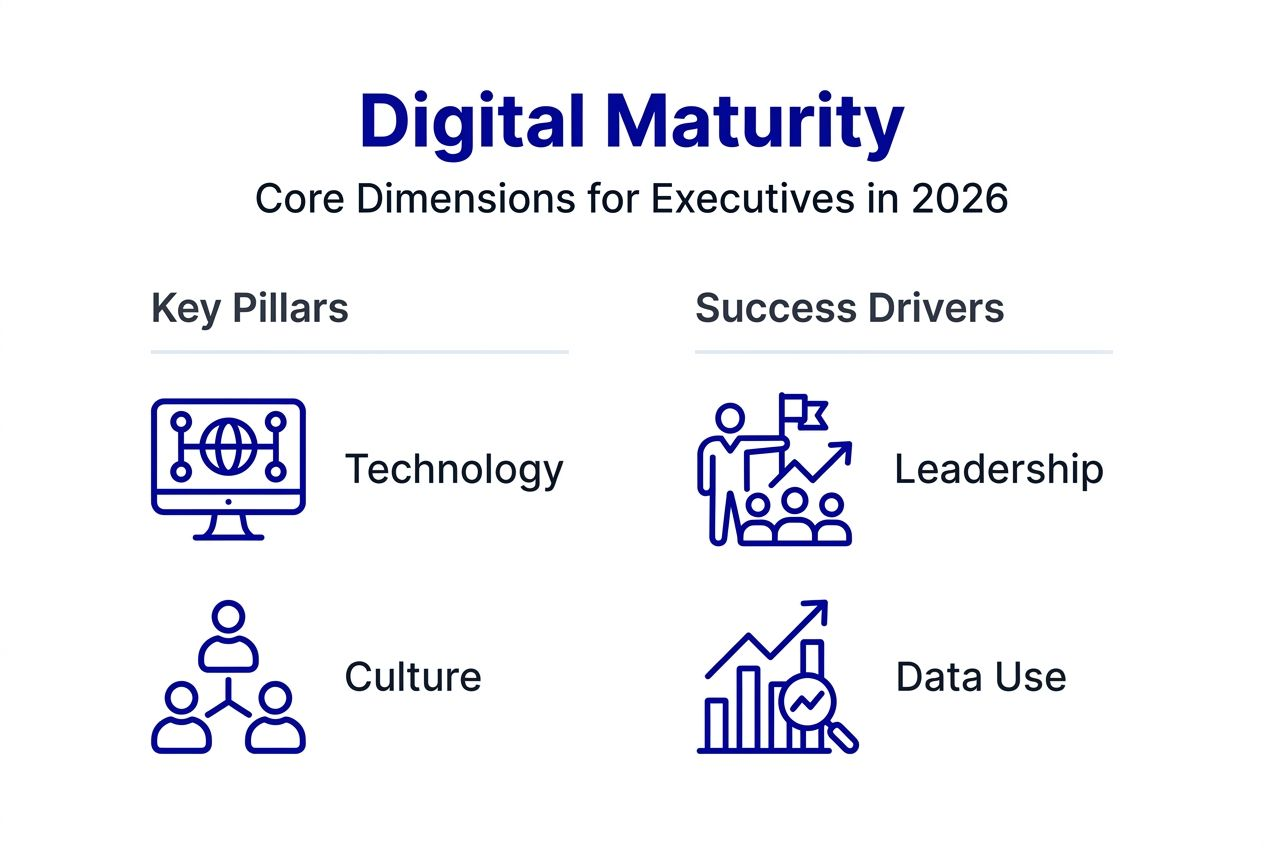 Infographic showing digital maturity key aspects