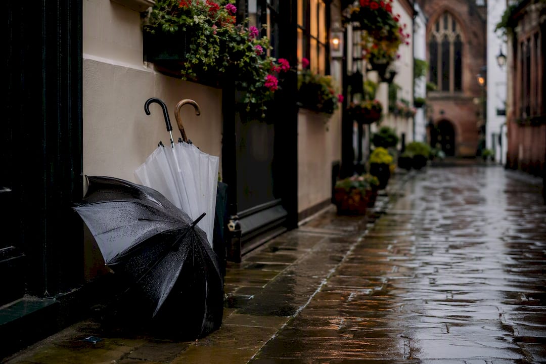 Umbrellas and wet pavement near Registry Office in rain
