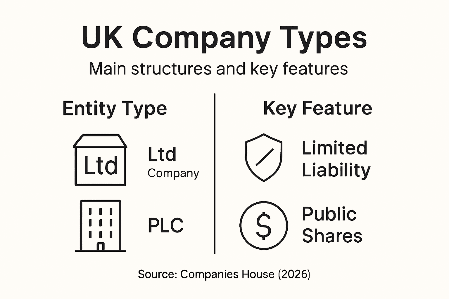 Infographic showing types of UK companies and features