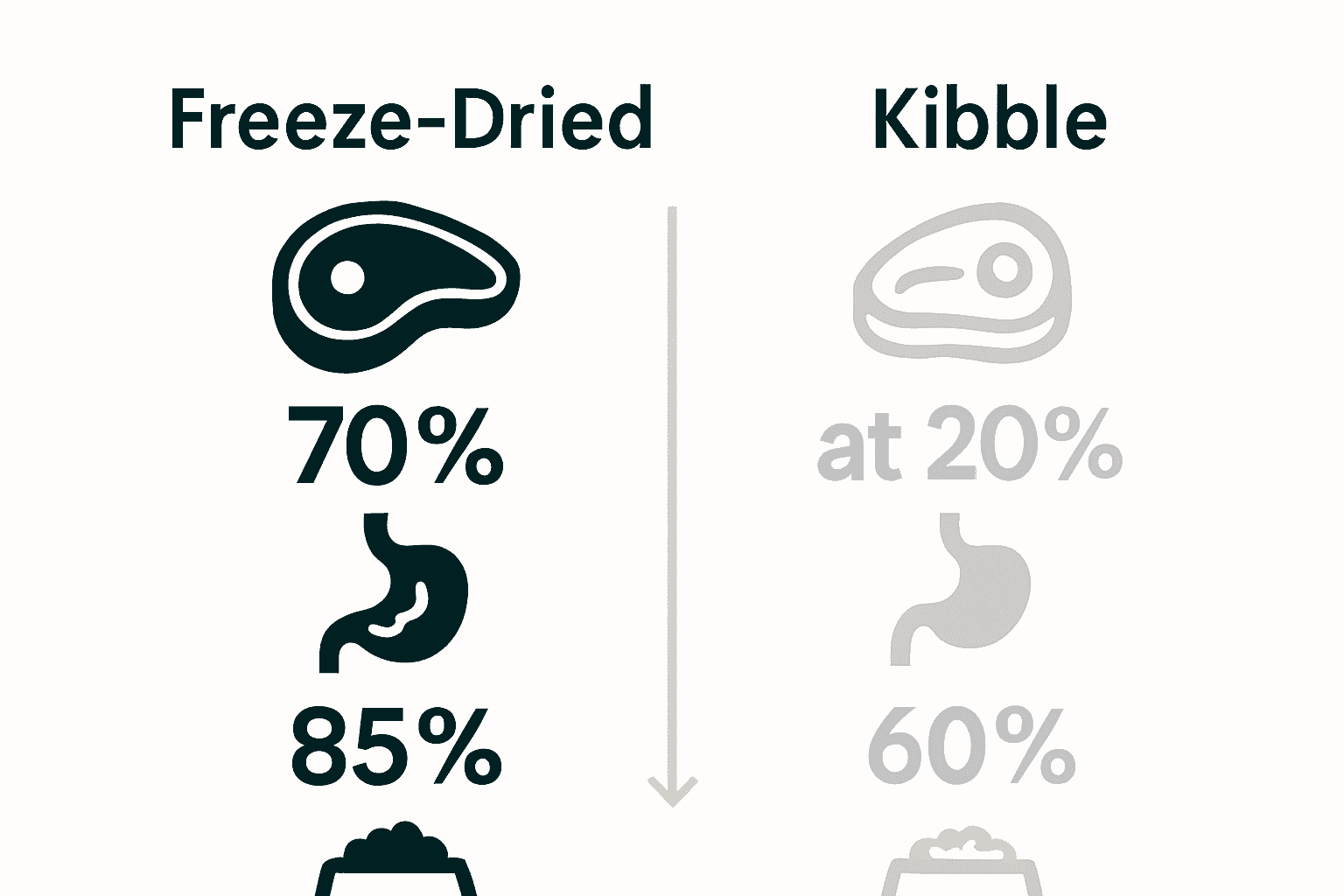 Infographic comparing freeze-dried dog food to traditional kibble highlighting nutrient retention, digestibility, and ingredient integrity.