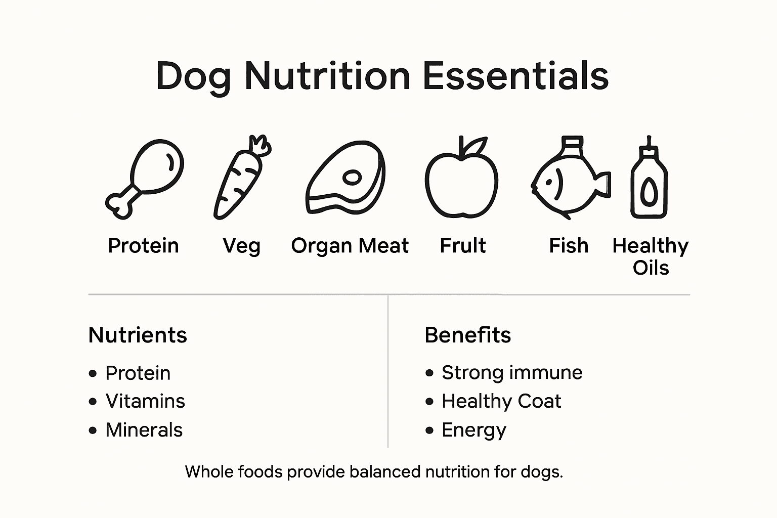 Infographic showing dog nutrition essentials and benefits