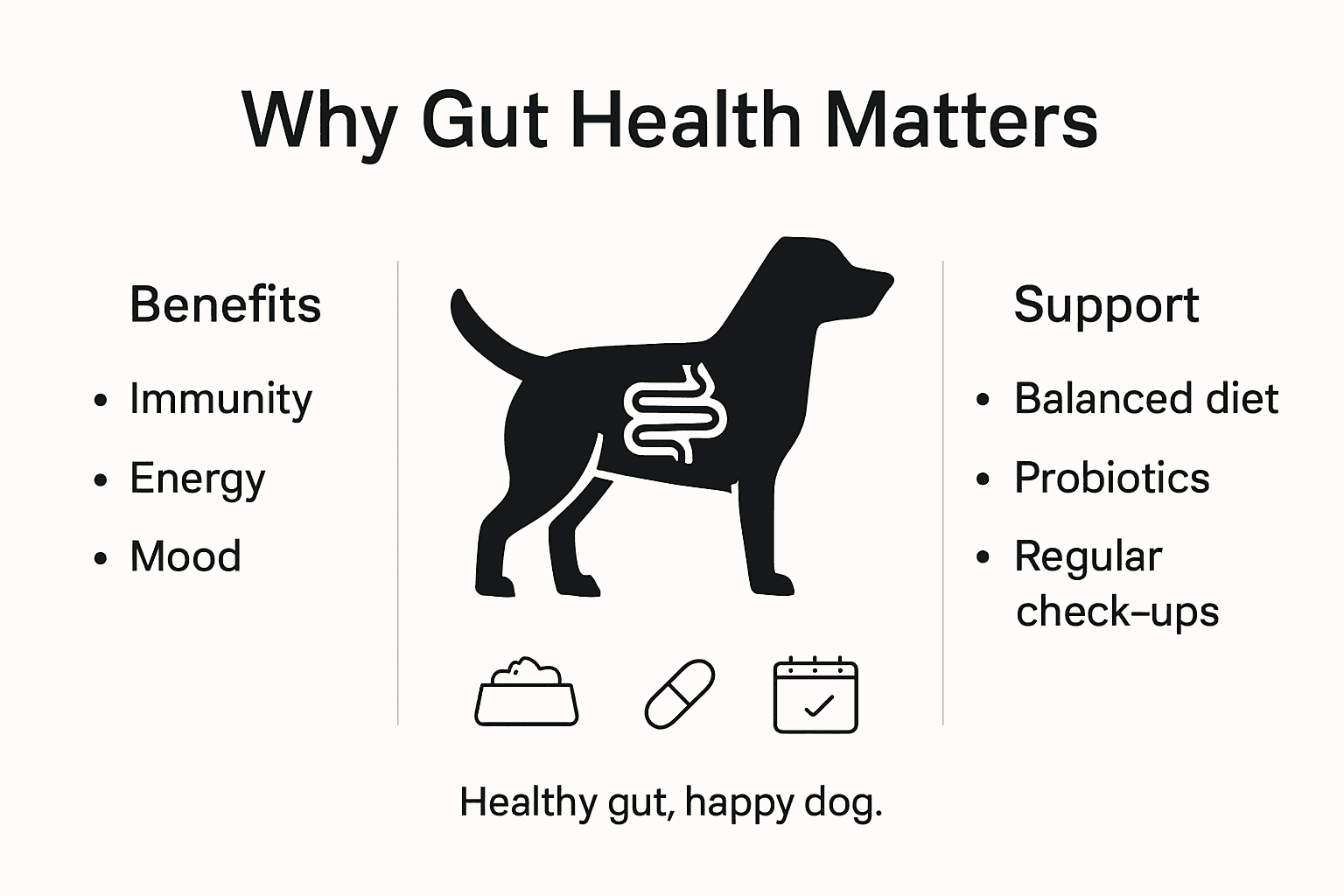 Infographic showing dog gut health benefits and support tips