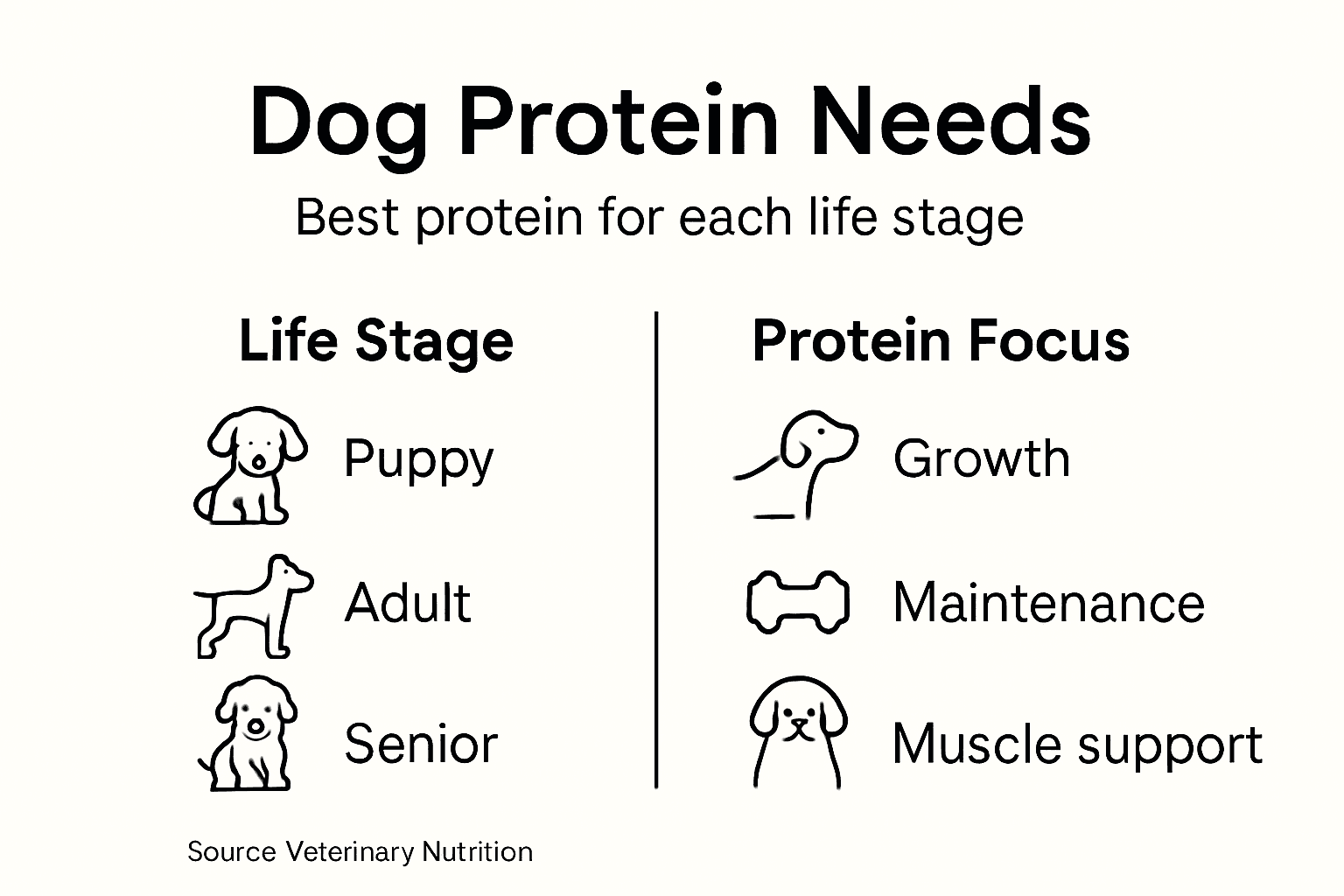 Infographic showing dog protein needs by age