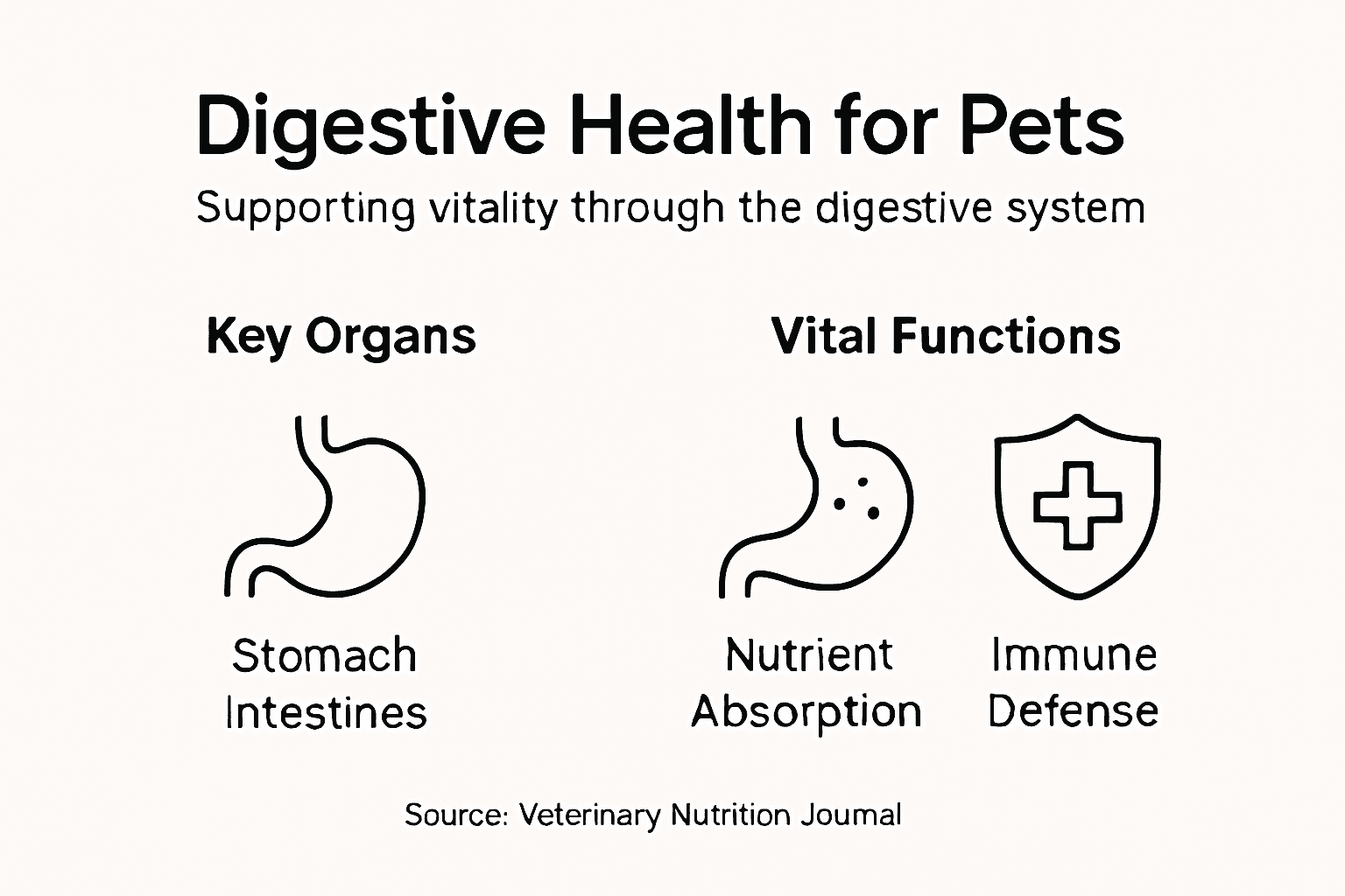 Infographic of pet digestive health and vitality
