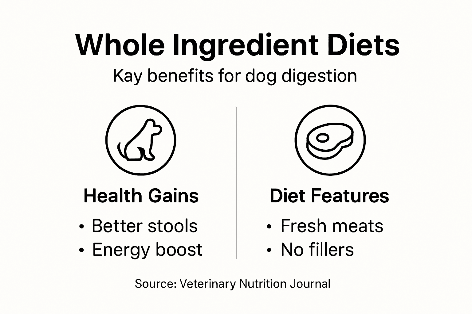 Infographic showing dog diet benefits