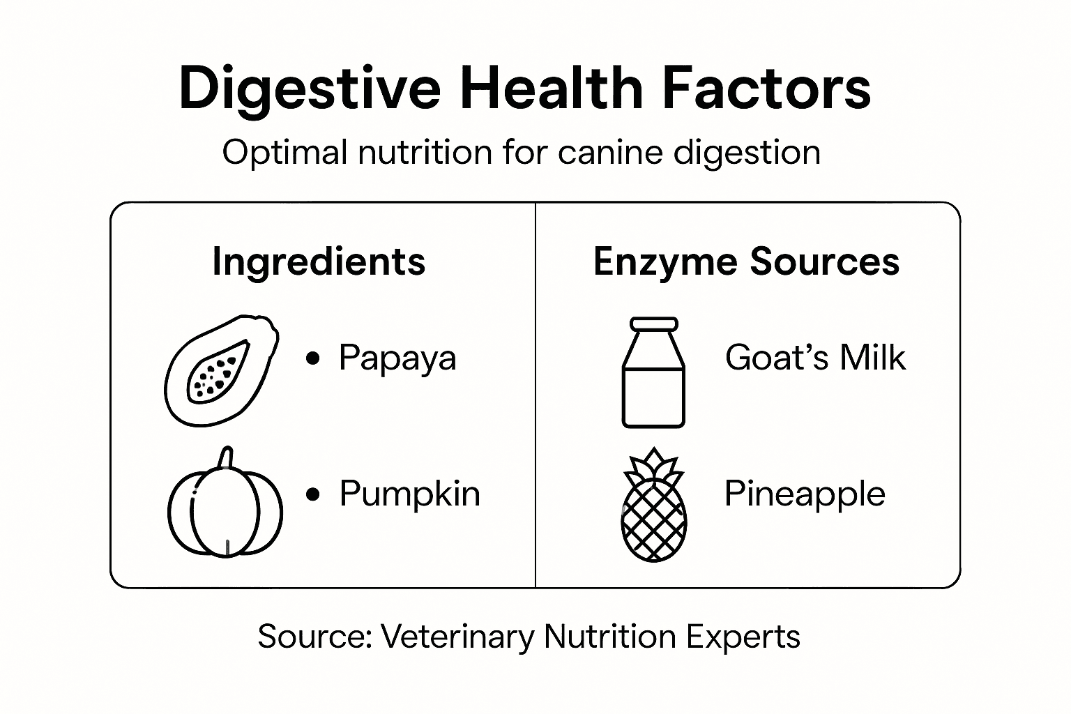 Infographic with digestive health ingredients
