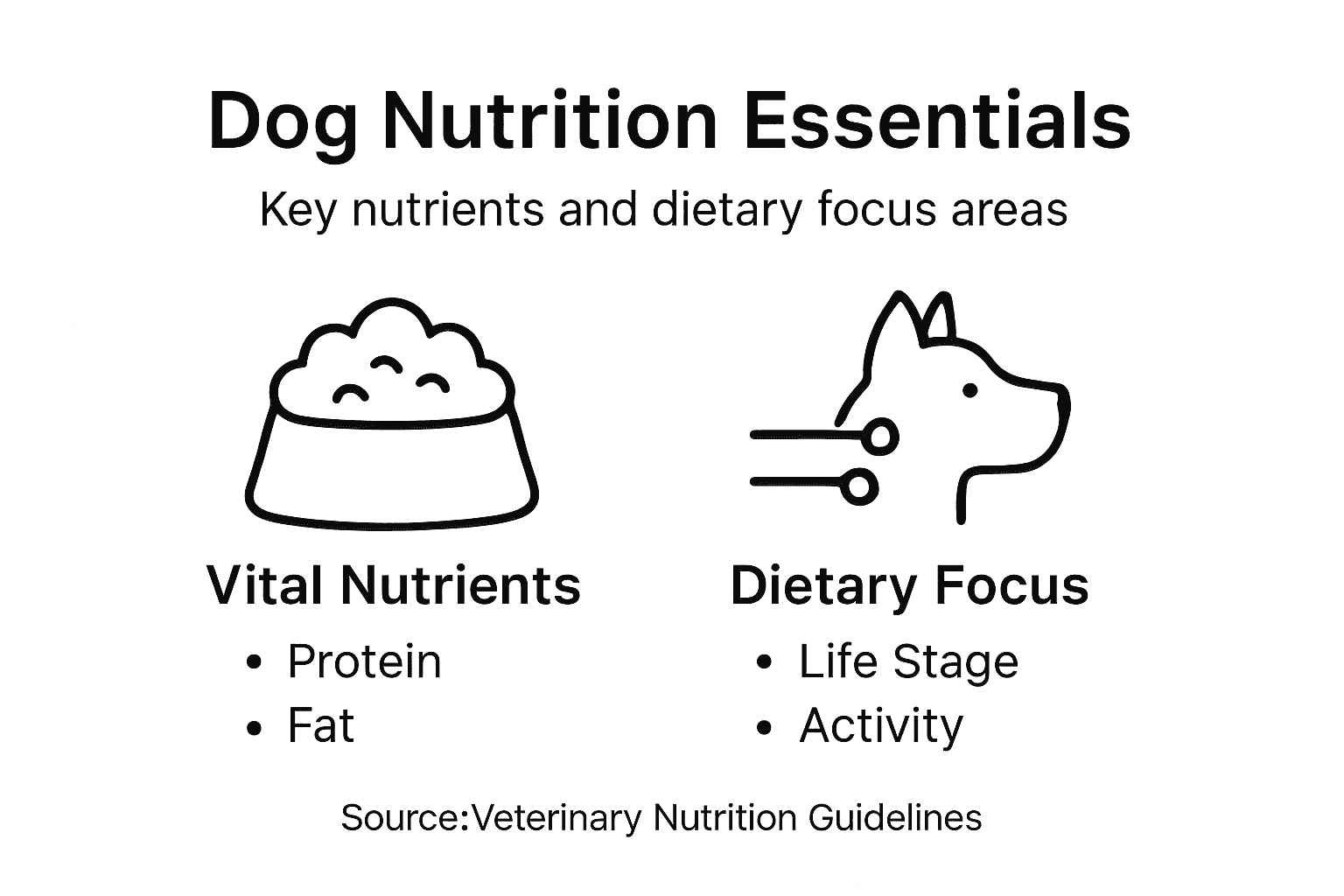 Infographic showing dog nutrition essentials