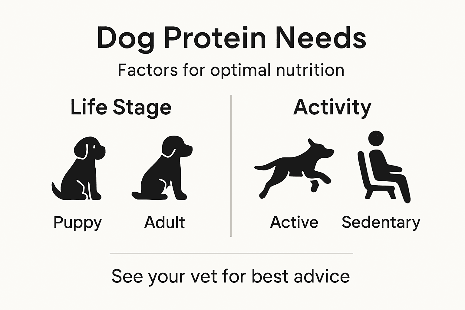 Infographic summarizing dog protein requirements