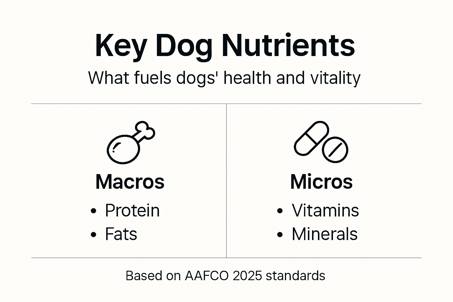 Infographic key nutrients for dog diet