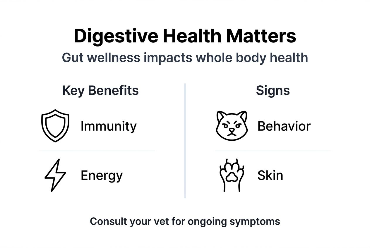 Infographic on digestive health benefits and signs