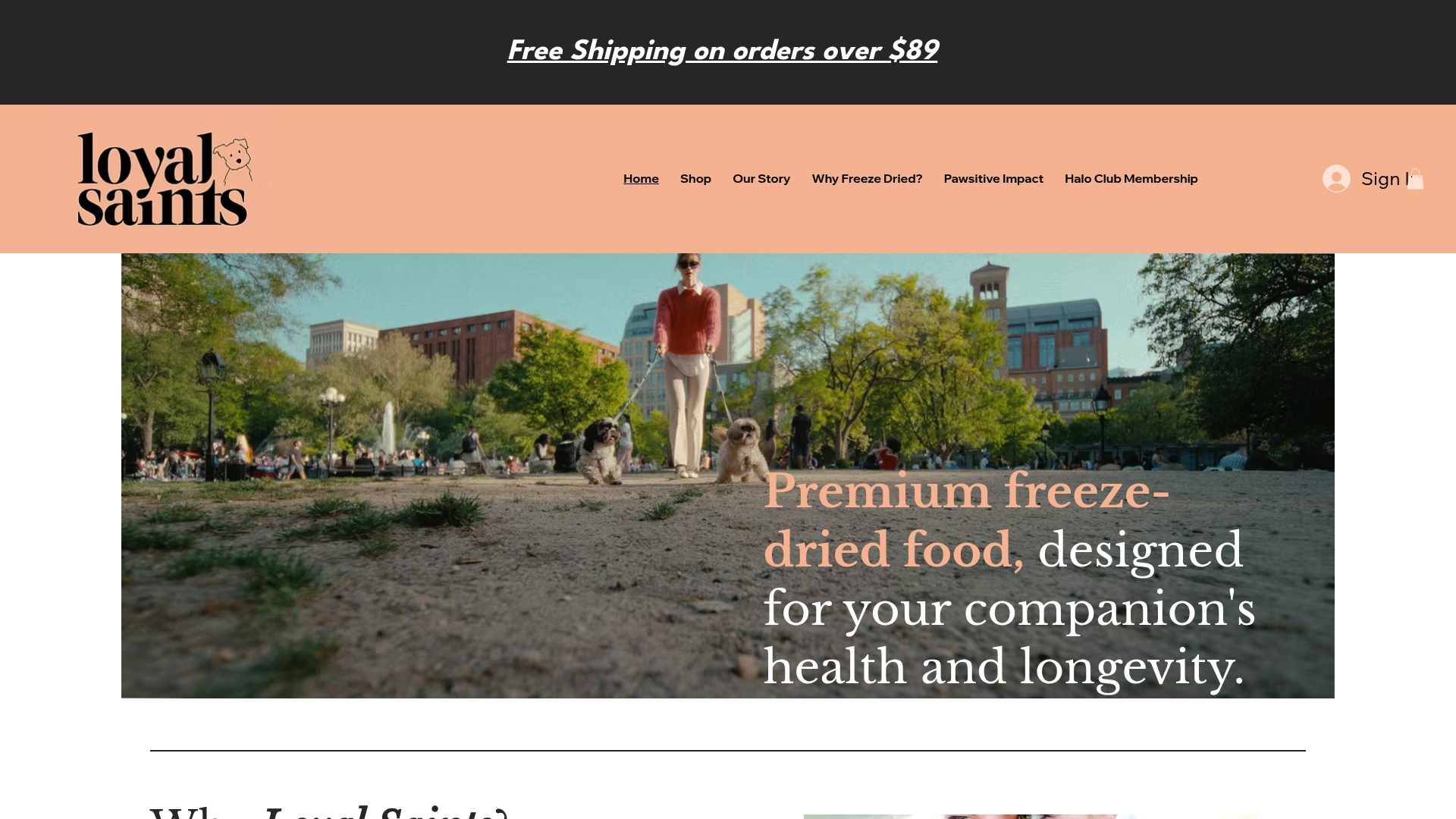 Product Screenshot