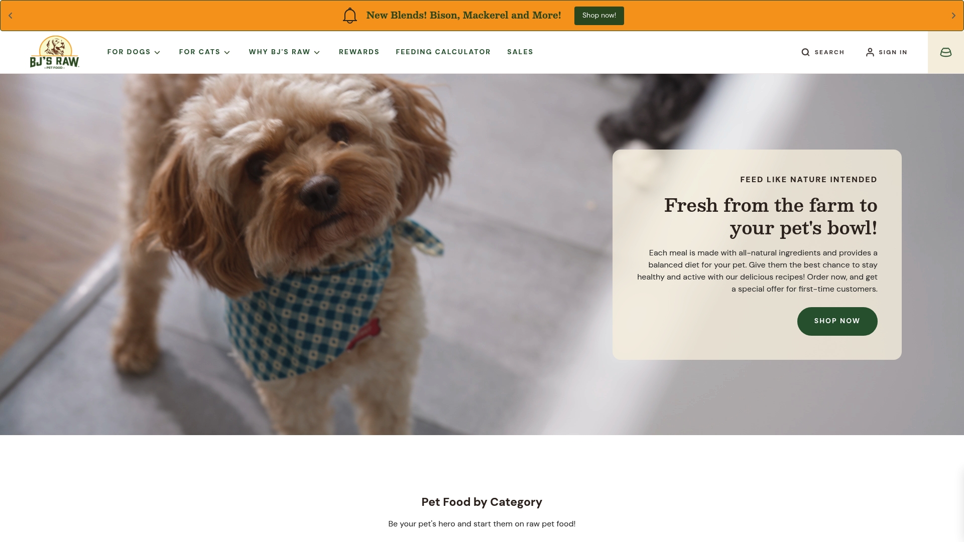 https://bjsrawpetfood.com