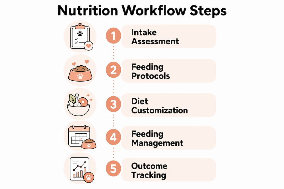Infographic showing shelter pet nutrition workflow steps