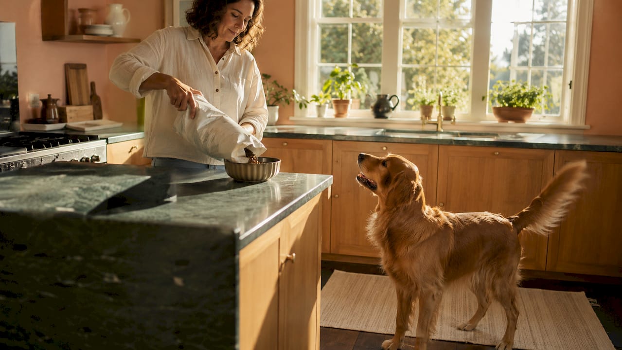 Woman preparing healthy dog food in kitchen