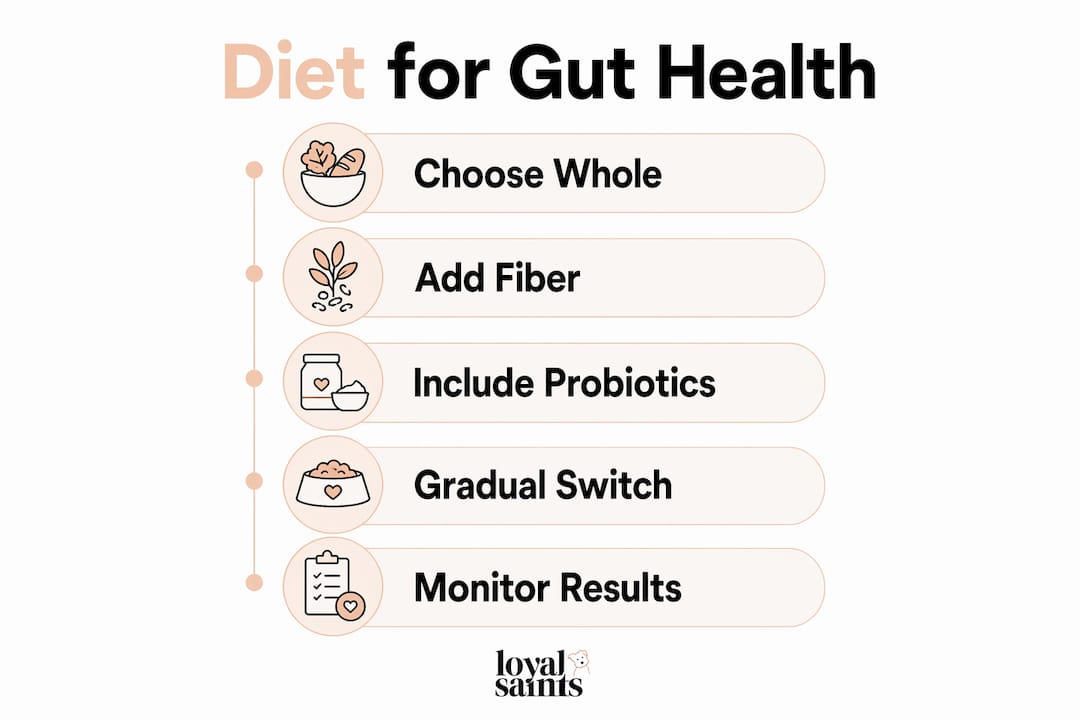 Infographic showing diet steps for dog gut health