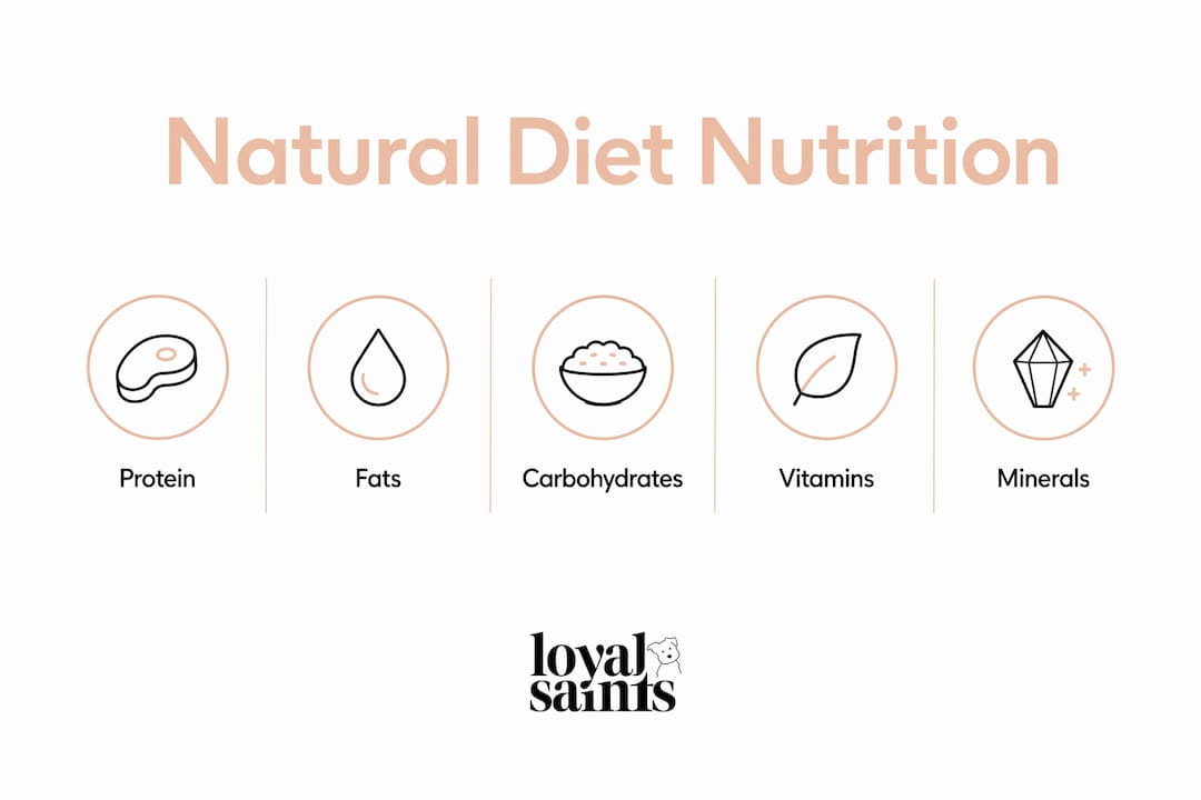 Infographic showing key nutritional components of natural dog diets