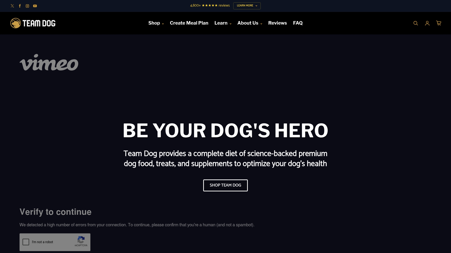 https://teamdog.shop