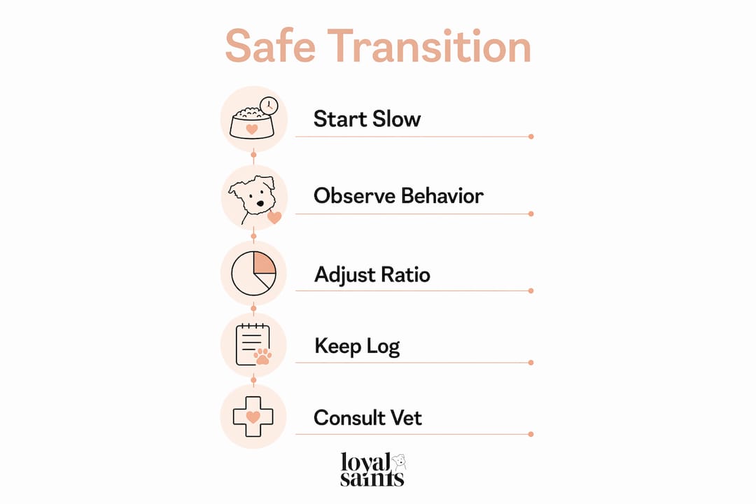 Infographic showing steps to safely transition dog food