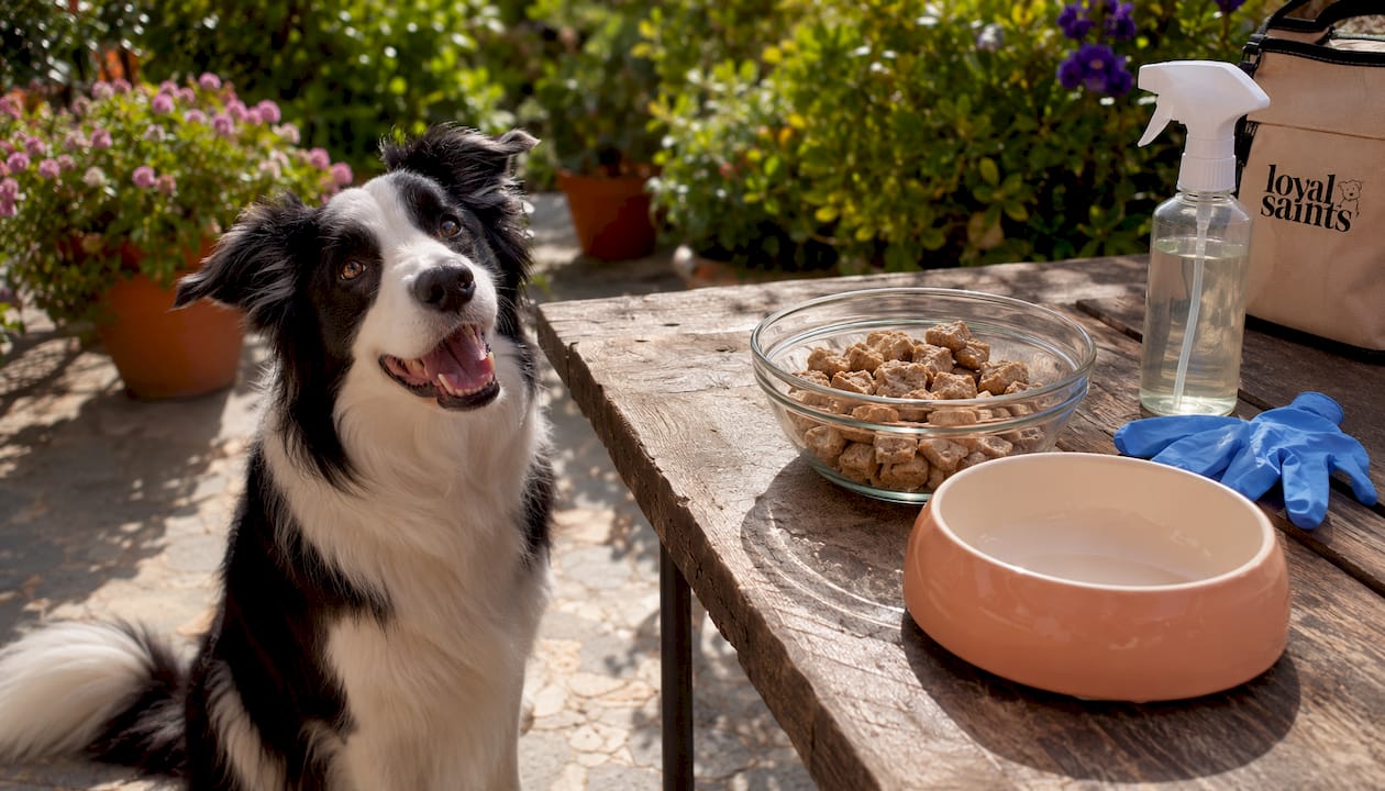 Raw dog food preparation with safety items nearby