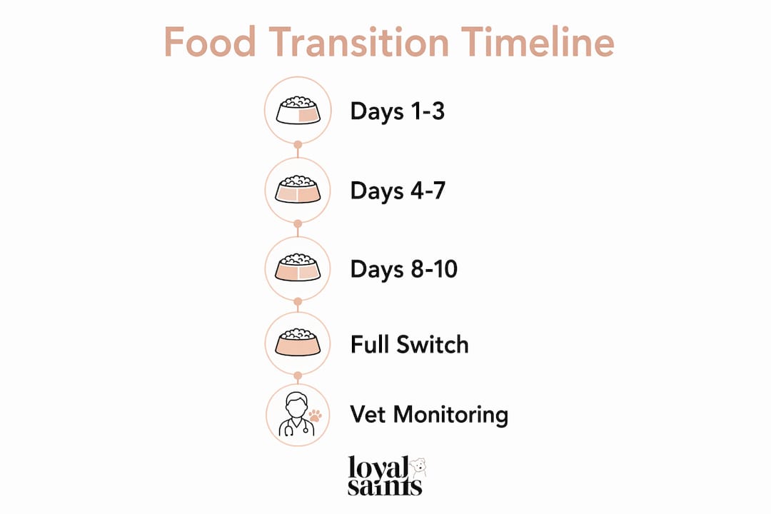 Infographic showing step-by-step natural dog food transition timeline