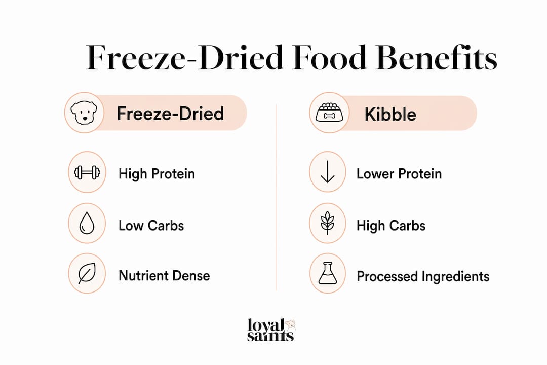 Infographic comparing freeze-dried dog food and kibble benefits