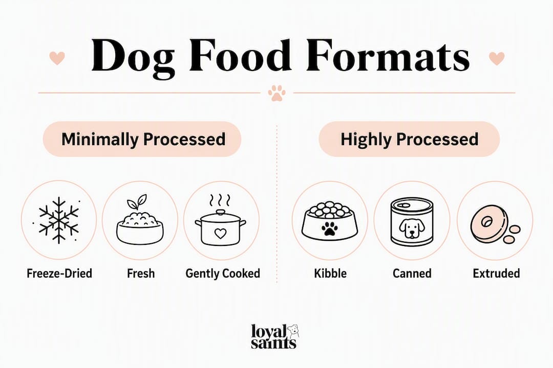 Infographic comparing dog food formats for gut health