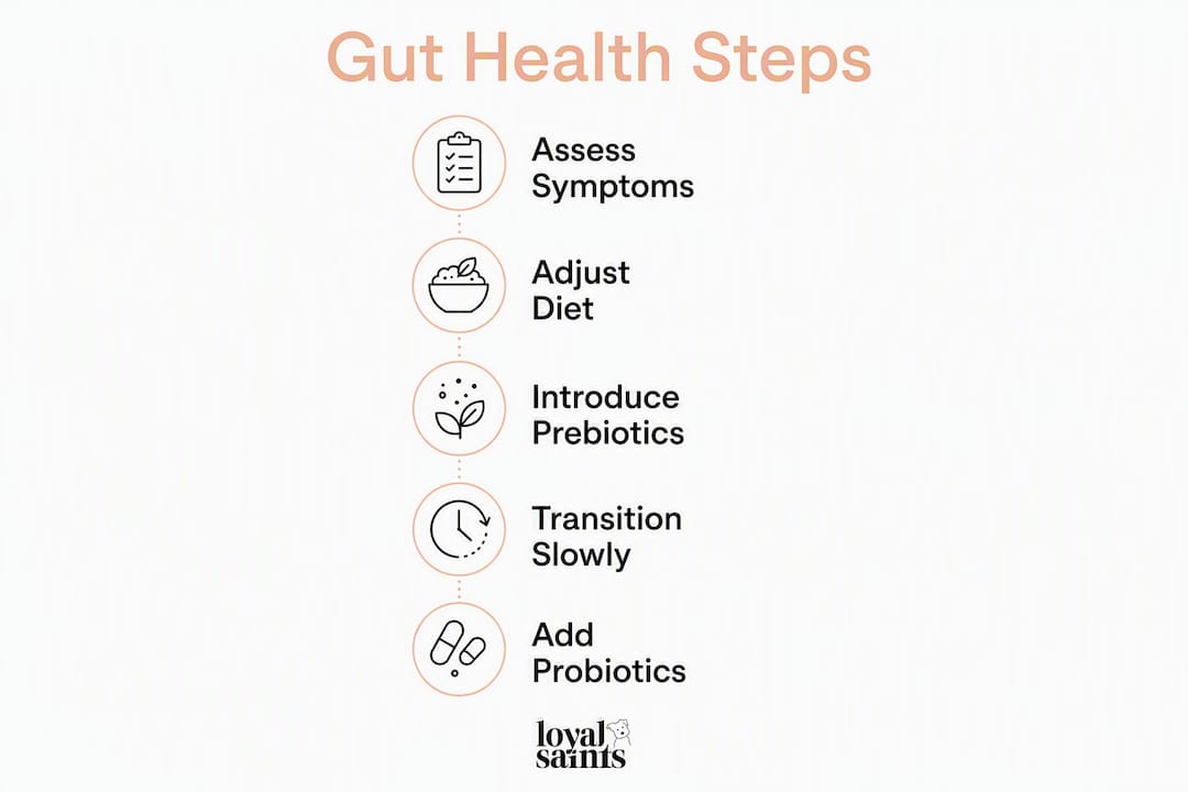 Infographic showing five steps to support dog gut health