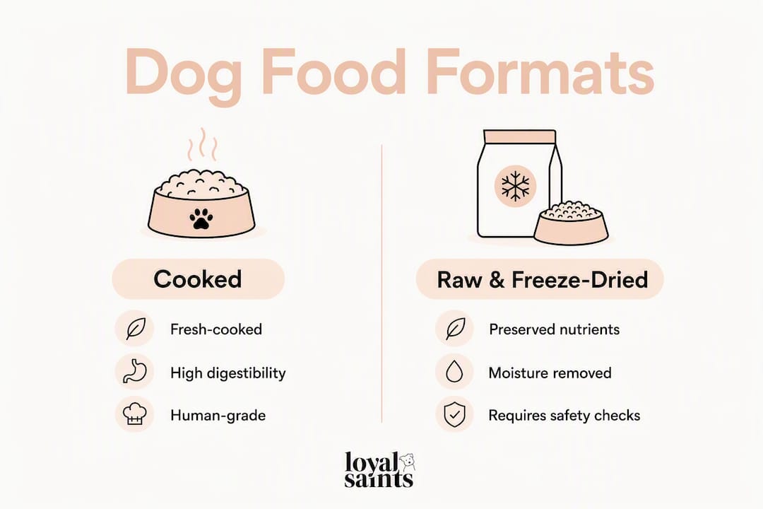 Infographic comparing cooked versus raw dog food formats