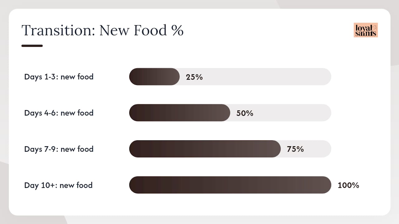 Feeding rules and how to safely switch your dog's diet — overview diagram