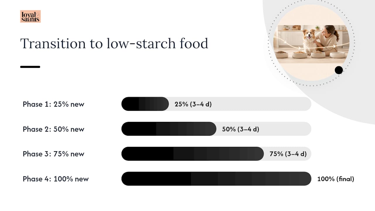Which dogs benefit from lower starch, and how do you make the switch safely? — overview diagram