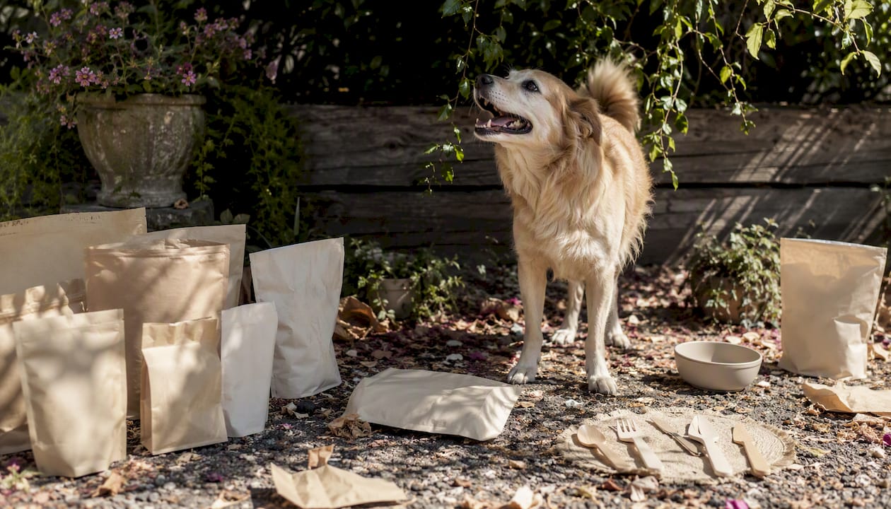 Compostable dog food pouch materials on kitchen shelf