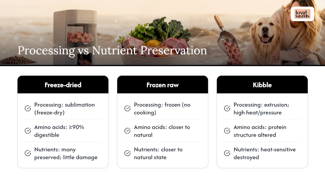 Diagram comparing nutritional digestibility and energy in raw dog foods