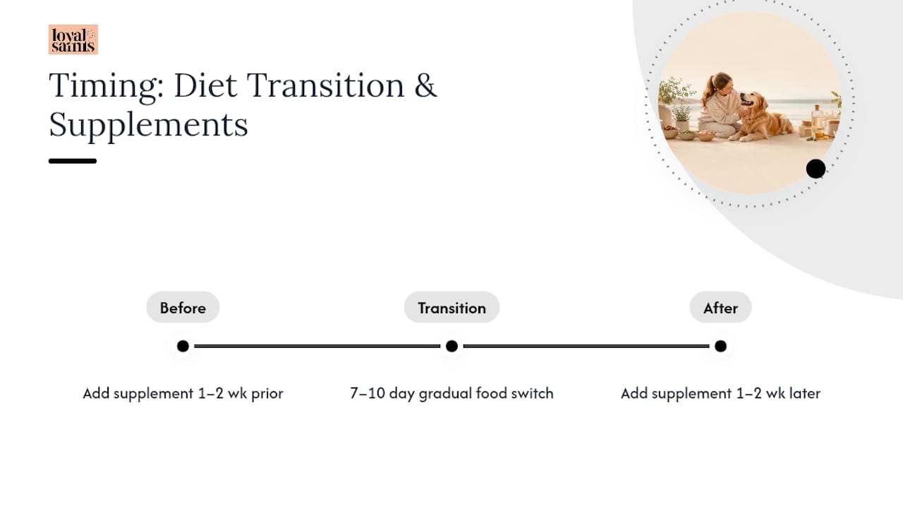 Dog food transition and supplement timing timeline