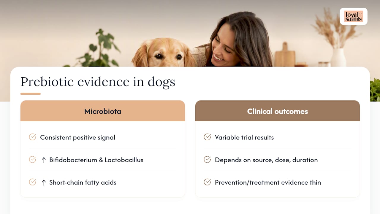 Does the Research Back Up These Digestive Health Claims? — overview diagram