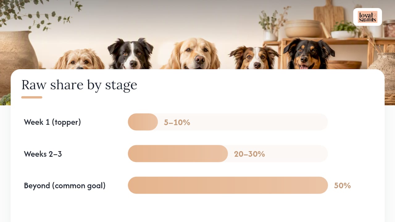 How to Mix Kibble With Raw: Ratios and Serving Methods — overview diagram