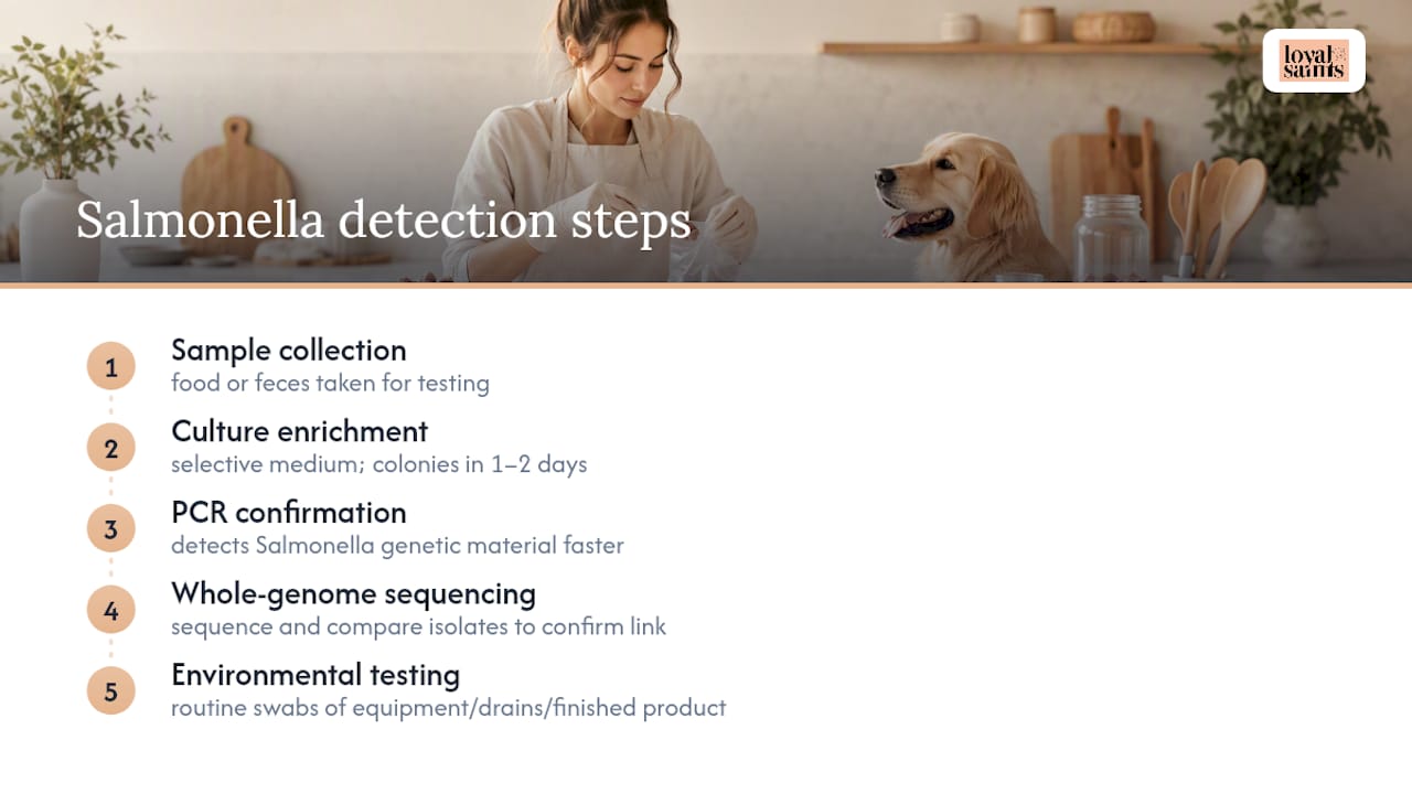 How Labs Actually Detect Salmonella in Raw Food — overview diagram