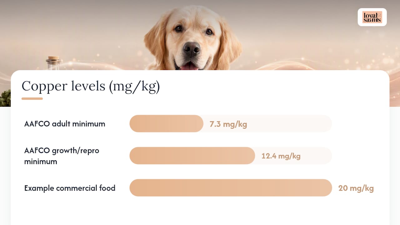 How Much Copper Do Dogs Need, and Where Do the Limits Come From? — overview diagram