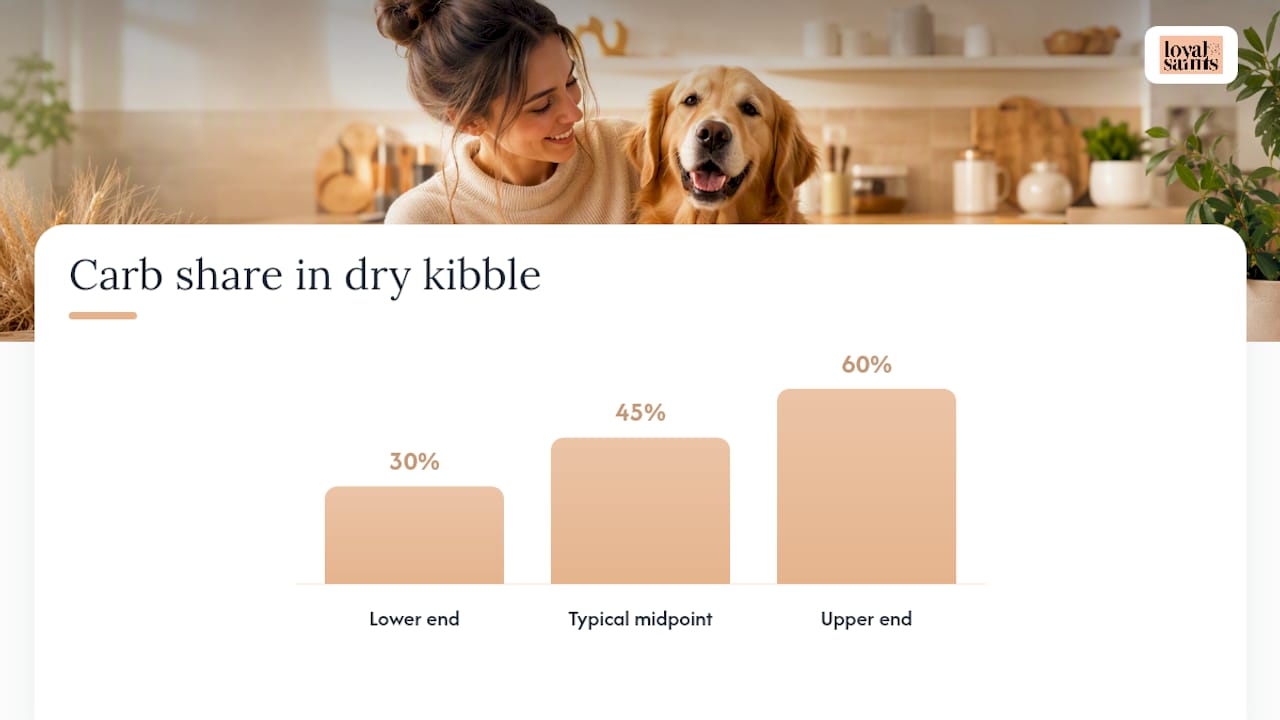 Are Carbs Bad for Dogs? Sorting Fact From Fear — overview diagram