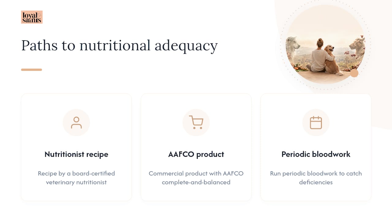 Three routes to safer complete raw feeding