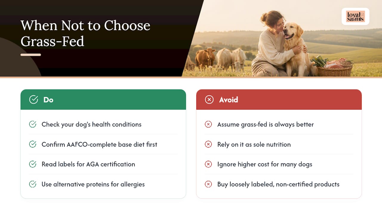Where Grass-Fed Beef Isn't the Right Fit — overview diagram