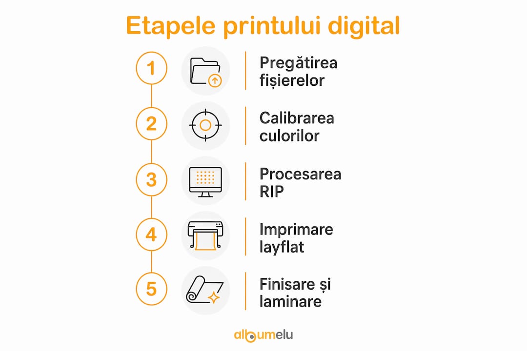 Infografic: pașii principali în procesul de imprimare digitală