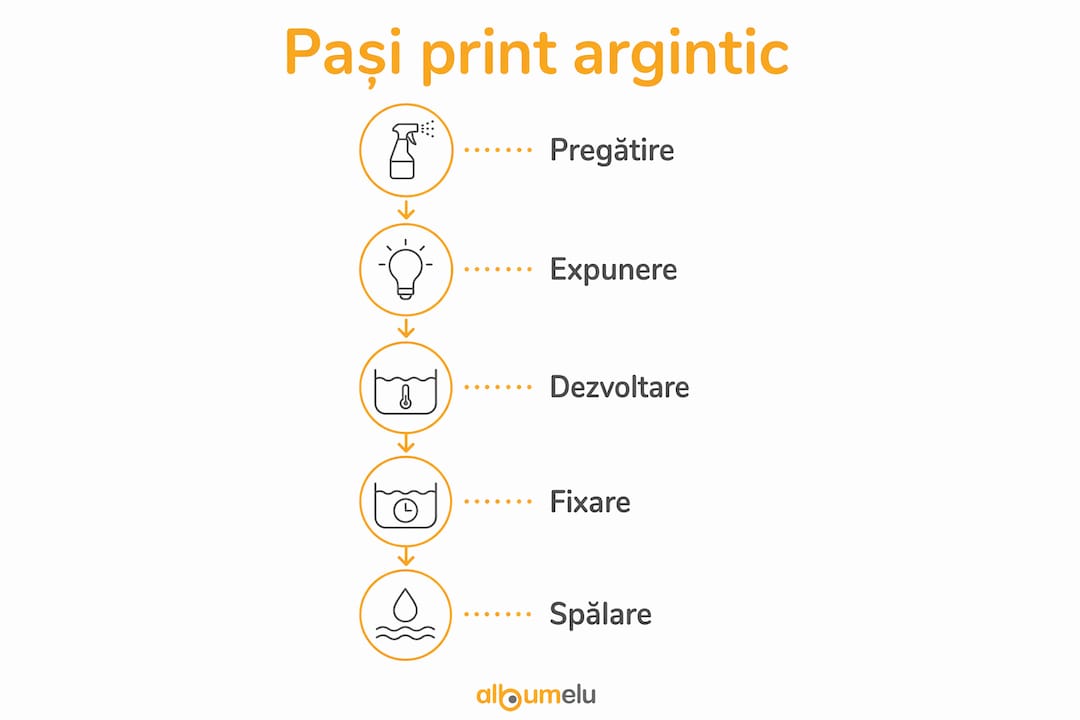 Infografic care ilustrează etapele prin care trece procesul de imprimare fotografică pe bază de halogenuri de argint
