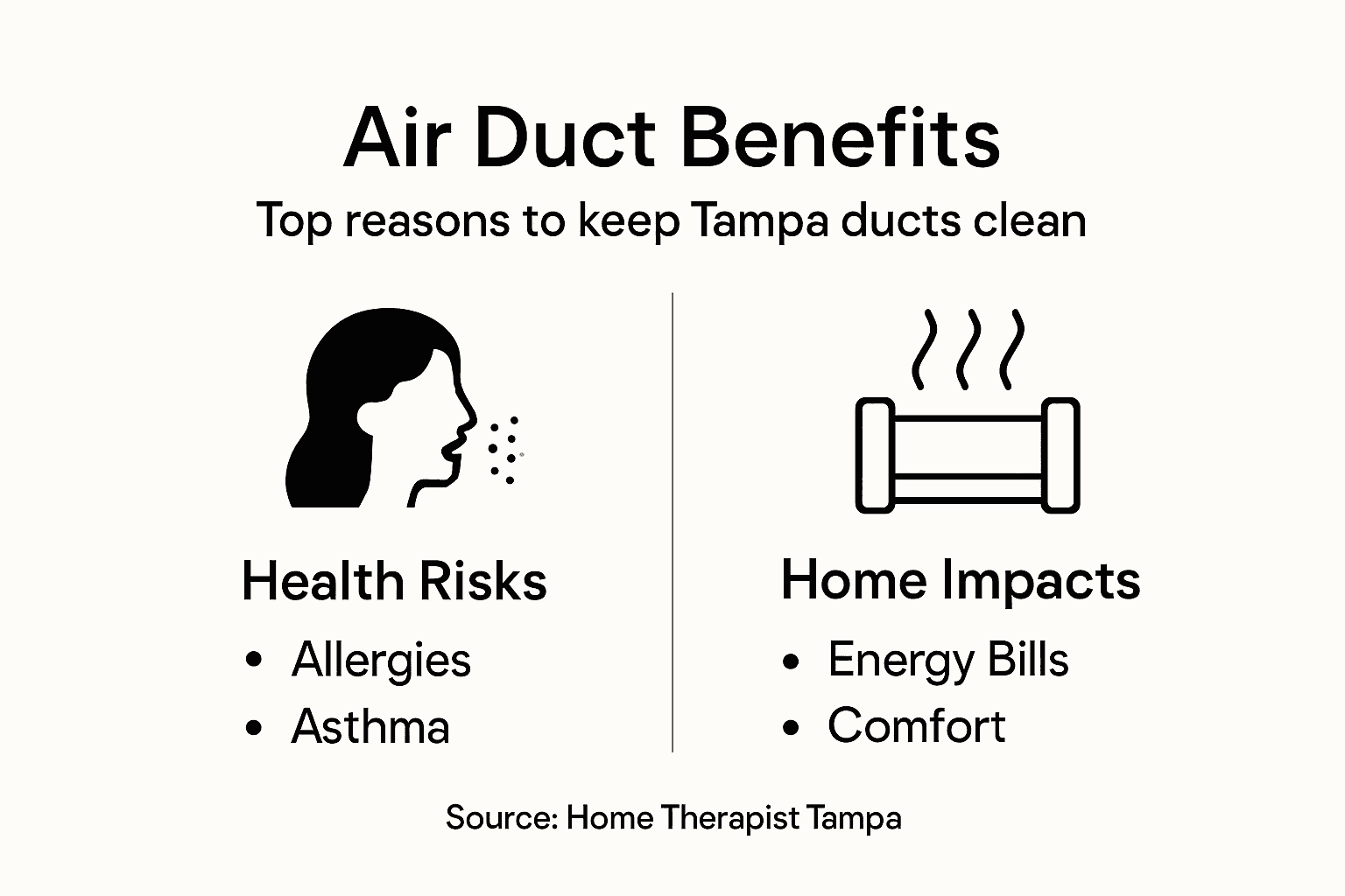 Infographic listing air duct health and home benefits